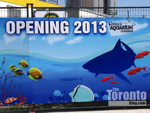Ripley's Aquarium Toronto promotional hoarding