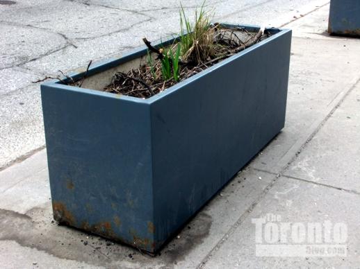 Bloor Street planter box near Jarvis Street 