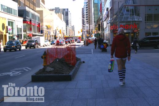 new tree installation location on Bloor Street at the Manulife Centre