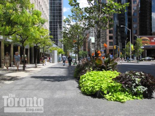 New Bloor Street sidewalks trees and flowers near Church Street