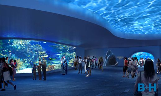 Ripley's Aquarium Tropical Reef