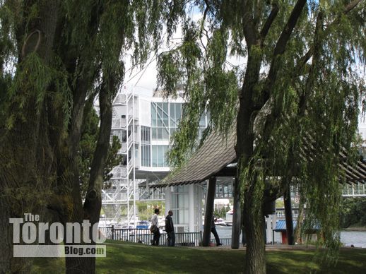 Trees at Ontario Place 