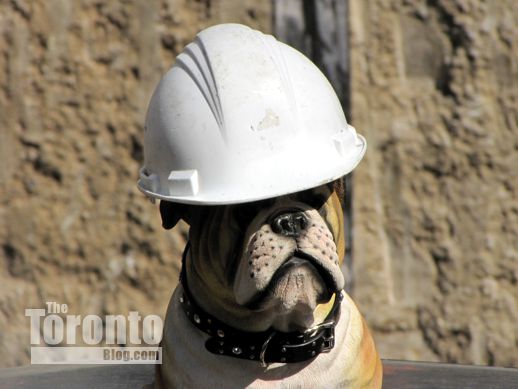 Theatre Park Condos construction mascot